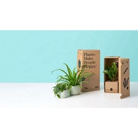 Boîte d'emballage pour plantes d'intérieur en carton ondulé personnalisée pour l'expédition de plantes en pot