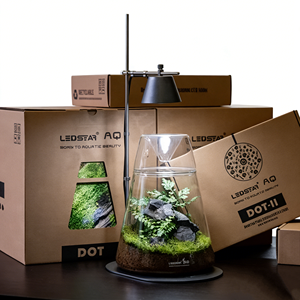 Aquascape DOT-II Modernes Glas-<span class=keywords><strong>Terrarium</strong></span>-Set für den Schreibtisch - Hochzeits-Tischvase <span class=keywords><strong>Terrarium</strong></span> Glasbehälter - Product Image 1