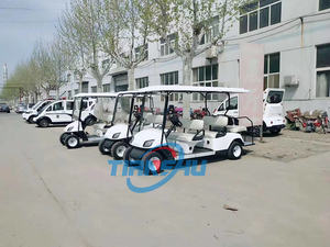 Buggy de golf eléctrico con carrito trasero equipado con posición de pie carrito de golf eléctrico todoterreno Club buggy - Product Image 6