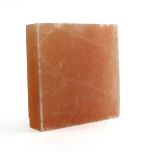 Natural Rock Pink Crystal Himalayan Salt Cooking Tiles Block Stainless Steel for Grilling and Serving