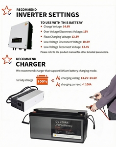Baterías de iones de litio LiFePO4 desmontables y recargables de 12V 24V 100Ah 200Ah para carritos de golf en EE. UU. - Paquete de baterías TE12100 Deta - Product Image 6