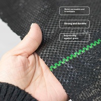 Toile de paillage en polypropylène tissé, tissu anti-mauvaises herbes, barrière anti-mauvaises herbes non tissée pour la couverture du sol agricole