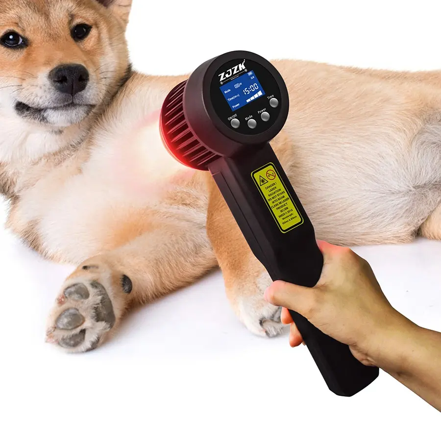 Zjzk-máquina de terapia láser caliente para perros y humanos, tratamiento no irrigador de alta eficacia popular