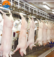 Projet clé en main d'abattoir pour l'abattage de porcs, machines de transformation de la viande, ligne d'abattage de porcs de haute qualité, certifiée CE