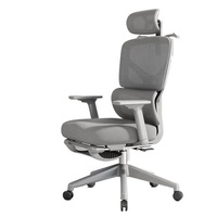Chaise de bureau en maille respirante avec un design exquis, un cadre en plastique ergonomique et un réglage manuel