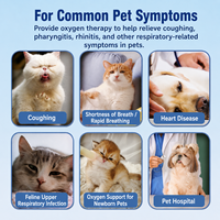 Système de purification d'air quotidien pour animaux de compagnie, écologique, réutilisable, durable, désodorisant, antimicrobien, pour hôpitaux vétérinaires, avec oxygène de haute pureté pour chats et chiens