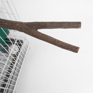 Pet kuş oyuncaklar kuş standı çerçeve afrika gri papağan ahşap oyuncak tırmanma ahşap sopa kuş malzemeleri - Product Image 6