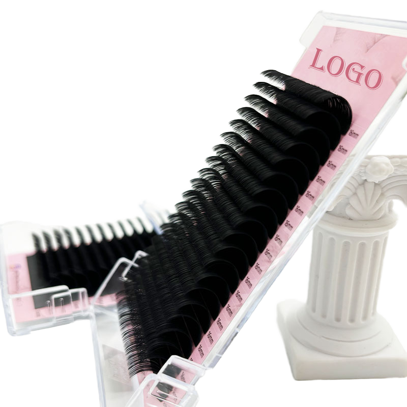 ด้านหลัง