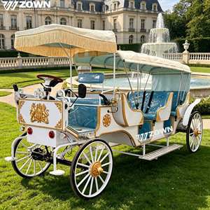 Charrette Électrique Personnalisée en Fibre de Verre pour Visites Touristiques, Sans Chevaux, Idéale pour Parcs d'Attractions, Rues Historiques et Transport de Touristes - Product Image 1