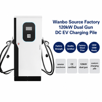 Borne de recharge rapide DC pour véhicules électriques Wanbo-576 120kW à double pistolet avec arrêt de sécurité rotatif, panneau elliptique, certifiée CE