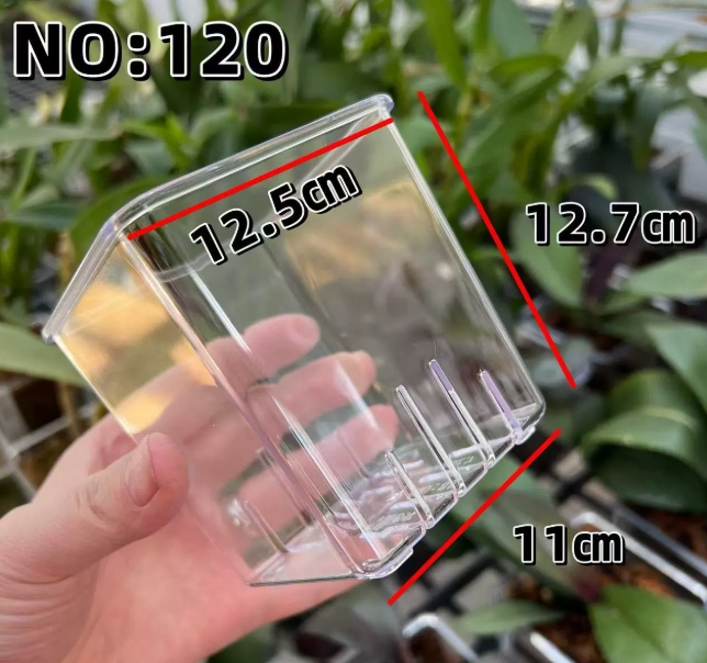 12 cm trasparente (senza vassoio)