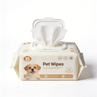Sacs d'emballage personnalisés refermables, étanches à l'humidité et aux odeurs, avec fermeture à clapet, fenêtre en PE laminé, pour lingettes humides pour bébés et animaux de compagnie