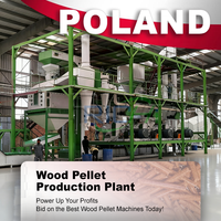 Ligne de production de granulés de bois RICHI ATEX 1-10 T/h pour projet de production de granulés de bois de pin biomasse en Pologne
