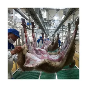 Nah östliche Muslime Ritual Schaf Schlachthaus Halal Ziege Fleisch Schlachthof Ausrüstung mit Schlacht maschinen