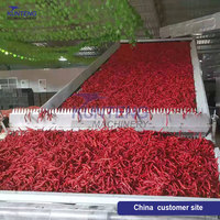 1-30 Ton Aangepaste Chili Droger Cayennepeper Paprika Groene En Rode Chili Drogen Productielijn