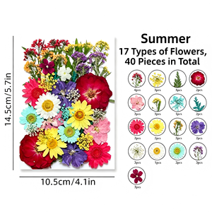 ชุดดอกไม้แห้งอัดเม็ดขนาดใหญ่ สีผสม สำหรับตกแต่งเคสมือถือ ที่คั่นหนังสือ ทำเอง ได้โดยตรงจากโรงงาน - Product Image 6