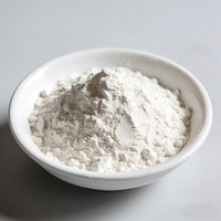Additif rhéologique à base de bentonite VASHLITE haute finesse et haute viscosité pour peintures industrielles à base d'eau