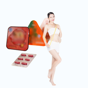 Cápsulas adelgazantes de hierbas naturales de alta calidad, suplemento dietético, soporte de peso, cápsulas quemadoras de grasa de magnesio - Product Image 1