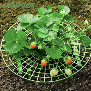 <span class=keywords><strong>Support</strong></span> de fraises <span class=keywords><strong>pour</strong></span> jardin, plantes grimpantes, fruits, rond, surélevé, maintien des fraises - Product Image 1
