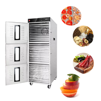 Automatische voedseldroger voor bananenchips, mango's, groenten en fruit.