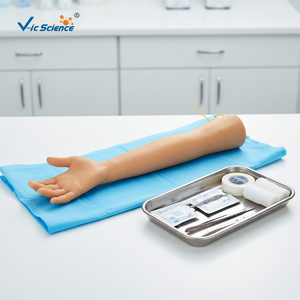 Modè<span class=keywords><strong>le</strong></span> de formation avancé en PVC pour la ponction veineuse chez les personnes âgées - Bras médical scientifique pour la formation des infirmières et des écoles - Product Image 1