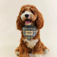 Bandana personnalisé d'accessoires pour animaux de compagnie pour chiens. Écharpe triangulaire à la mode rétro mignonne à carreaux bleus pour teckel