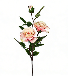 <span class=keywords><strong>Iris</strong></span> artificiel en plastique rose dégradé, 3 têtes, réaliste, résistant aux UV, tige pliable, décoration pour la maison, mariage, hôtel, fête, marque HR - Product Image 1