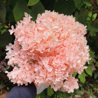 Gaya Ins bunga selamanya diawetkan Anna Hydrangea untuk dekorasi bunga dinding pernikahan