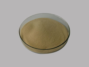 Matière première d'additif alimentaire extrait de levure en poudre - Product Image 5