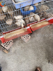 Codorniz waterer jaula equipos de alta calidad paloma pájaro comedero de aves bebedores y alimentadores - Product Image 6