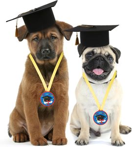 Médailles de remise de diplôme COCHIE pour enfants, 2 pouces, en caoutchouc, motif casquette, en vrac, légères, avec ruban pour le cou, mignonnes, pour la maternelle et les fêtes préscolaires - Product Image 5