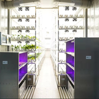 Ferme de culture hydroponique en conteneur de stockage et d'expédition pour plantes, Lyine Group, légumes-feuilles/laitue/coriandre/épinard