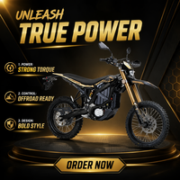 Nouvelle Offre 2026 : Moto Tout-Terrain Électrique Surron Ultra Bee 24,5 kW Certifiée 3C Homologuée Route, Forte Puissance de Traction, 74V 60Ah, Autonomie Étendue de 115 km