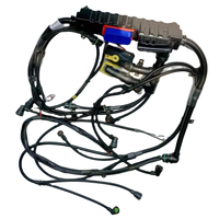 Piezas de Repuesto para Camiones de Trabajo Pesado OEM 7421545827, Arnés de Cables para Inyector de Combustible, Aplicable a Arnés de Motor RVI Kerax Premium