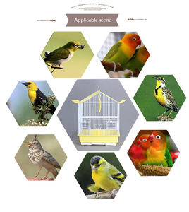 Toptan evcil hayvan malzemeleri taşınabilir tel papağan kafesi küçük ve orta kuş kafesi kuşlar aksesuarları ev - Product Image 4