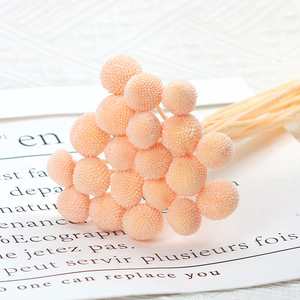 แจกันช่อดอกไม้แห้งสีเหลืองทรงกลมที่เก็บรักษาไว้เป็นช่อ - Product Image 6
