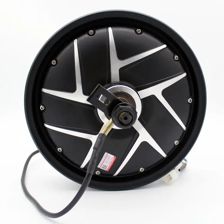 Ymmotor 10 Inch Brushless 800ワット60v Hub Motor