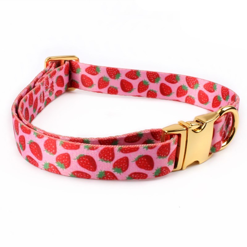 red strawberry dog collar