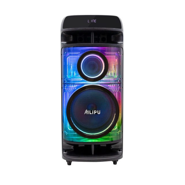 Portable  12 Inch Karaoke Speaker Colorful RGB Light for  Home Party with Swivel  Casters