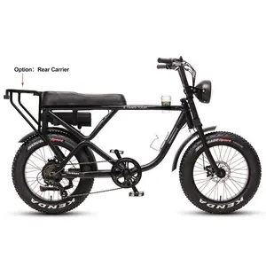 TXED Premium style High-end atmosphere ebike 48V/750W motor electric fat tire scrambler bike