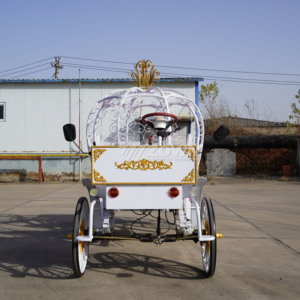 Chariot de luxe en forme de citrouille de Cendrillon, fait main, vintage, électrique, couleur personnalisable, capacité 6 personnes, garantie 2 ans, à <span class=keywords><strong>louer</strong></span> - Product Image 4