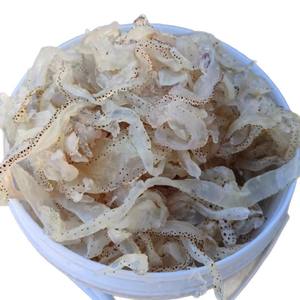 जेलीफ़िश सिल्क बड़ा बैरल 8 किलोग्राम नमकीन फिलामेंट नॉन-इंस्टैंट कोल्ड मिश्रण स्रोत कारखाना है - Product Image 5