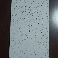 Plafonds suspendus décoratifs en fibres minérales noires, dalles de plafond 15 mm 60x60 pour la décoration