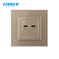 Livolo 80*80 Type EU Standard Universel 65W Double Chargeur USB Port Type C Prise Prix de Gros Chargeurs de Téléphone Portable pour Bureau