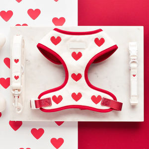 Grosir rompi harnes anjing Set Mode mewah kuat karet dada kucing jejak hewan peliharaan <span class=keywords><strong>Harness</strong></span> wol - Product Image 1