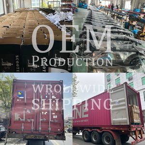 Trottinette Électrique Pliable D01 Pour Adultes, Vente en Gros Usine, 350W 36V 30KM d'Autonomie, Frein à Disque Sûr, avec Contrôle par Application - Product Image 6