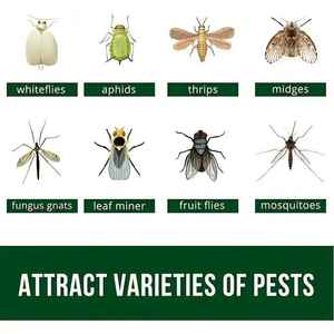 Prix bon marché chaud jaune collant insecte colle piège panneau en plastique jaune collant ferme verger <span class=keywords><strong>jardin</strong></span> - Product Image 2