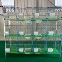 Cage à lapins multi-niveaux pour l'élevage de lapres et de lapereaux, en promotion, vente en gros
