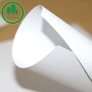 Papel Couché Ligero de 80 g/m² en Rollos a Precio de Fábrica para Impresión Publicitaria en el Mercado Chileno - Product Image 4