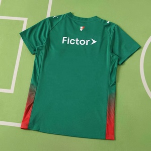 Camiseta de Fútbol Palmeiras 2026-27, Versión Aficionado, Calidad Tailandesa, Verde, <span class=keywords><strong>Copa</strong></span> Libertadores, Personalizable - Product Image 1